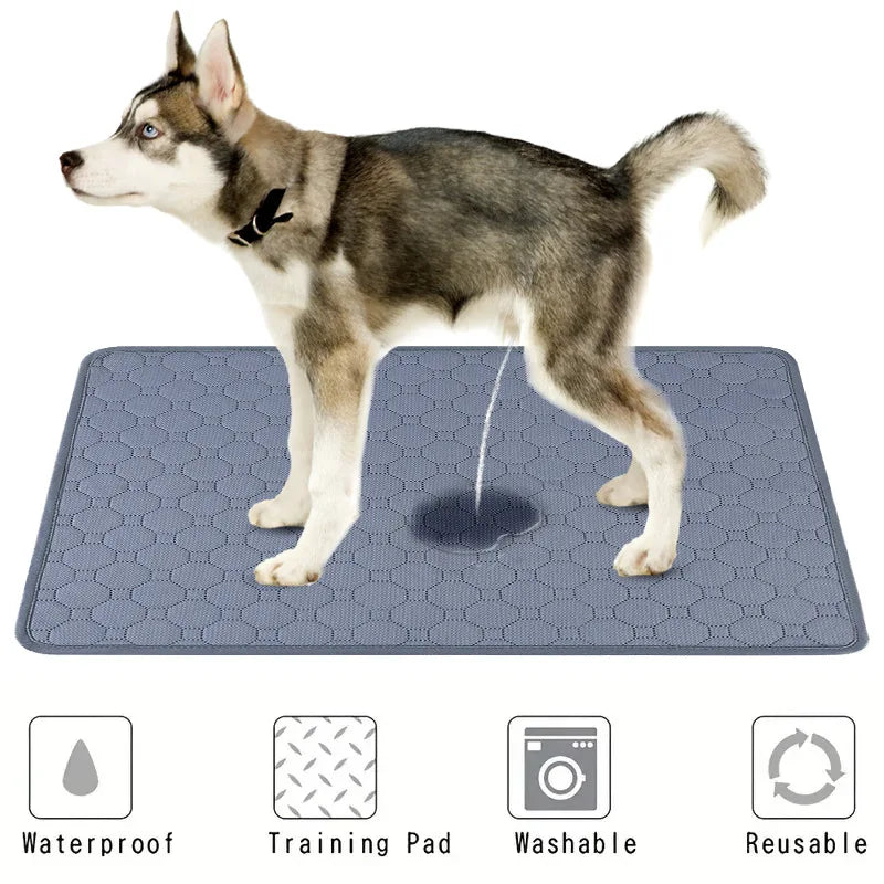 Dog Pee Pad Washable Blanket Reusable Absorbent Diaper Mat Puppy Training Pad Bed Pet Urine Pads Pet Car Seat Cover Pet Supplies